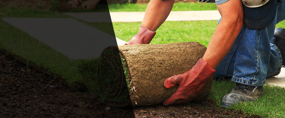 Cliffwood Landscapers